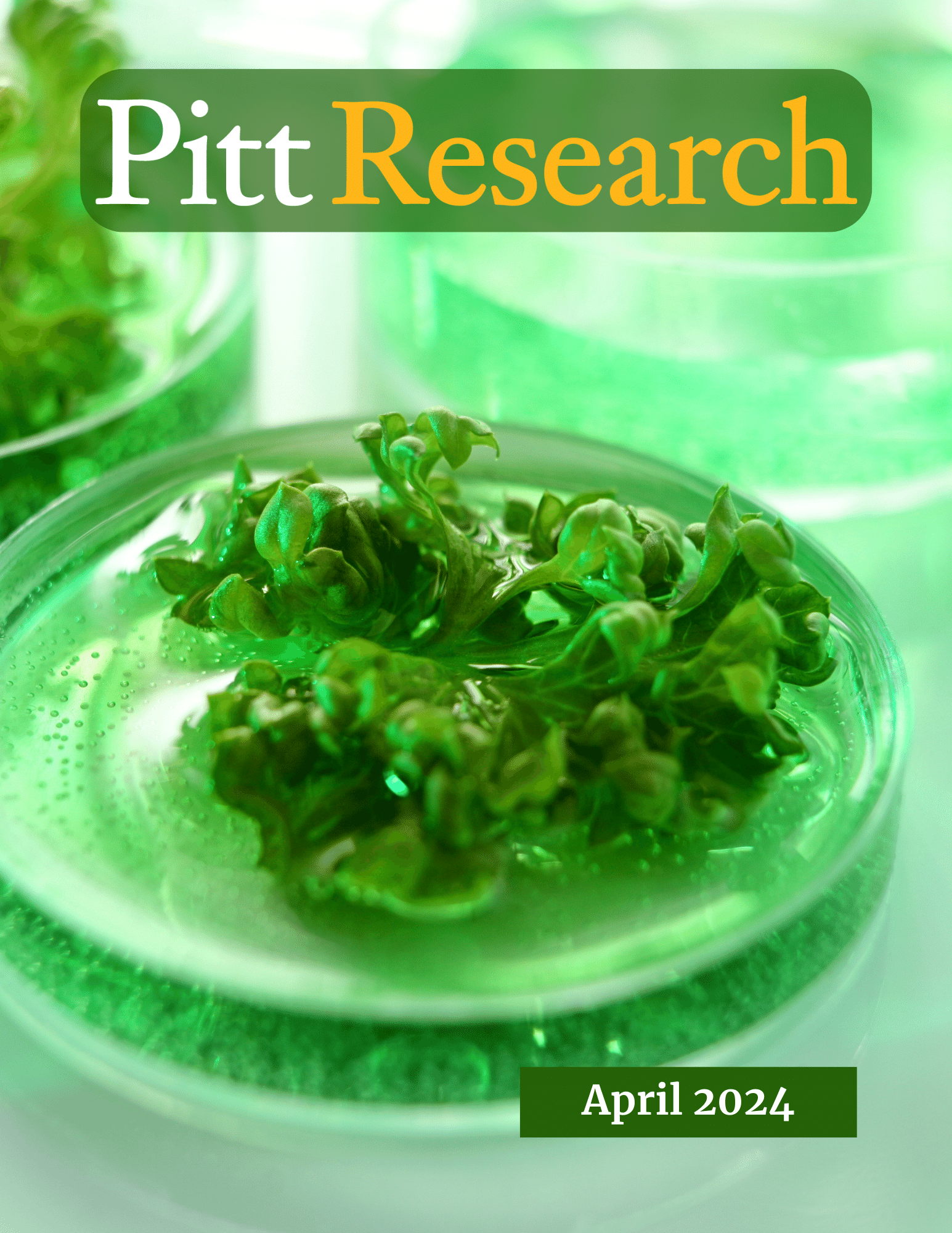 April 2024 Pitt Research Newsletter